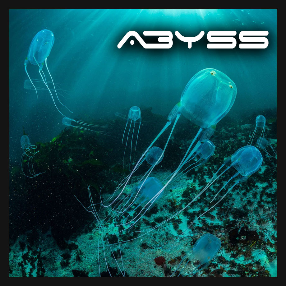 Abyssco Abyss - Grégoire Clémençon | Senior Game Designer – Portfolio